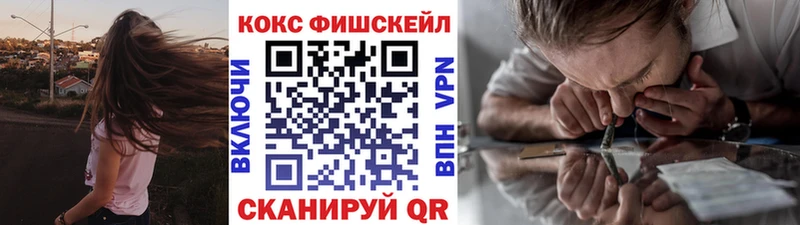 КОКАИН Fish Scale  Купить где  Нея 