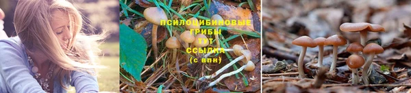 первитин Вязники