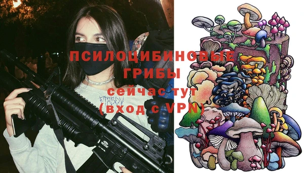 кокс Вяземский